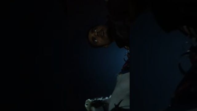 Highlight 0:00 – 4:38 from anek rajpoot dhamna baggi mob no 9696024932puneshpendra rajpoot dhamna i смотреть онлайн