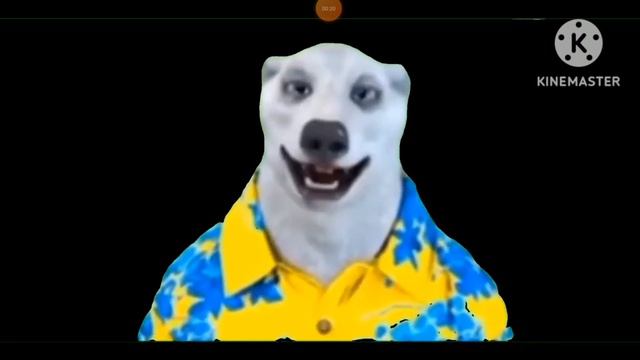 @kibersity9565 kiberSity не дивлячись привет всем твоим родным делать дальше мы должны смотреть онлайн