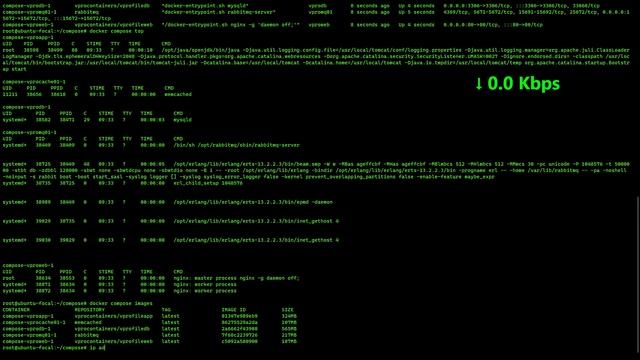 Deploy Webapp on Vagrant from Docker Containers смотреть онлайн