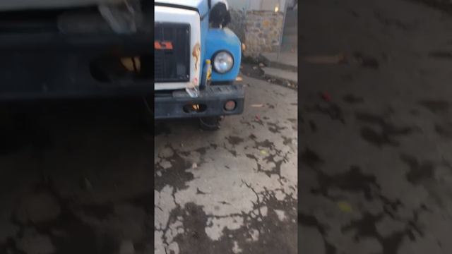 Дрессировка русского спаниеля) смотреть онлайн