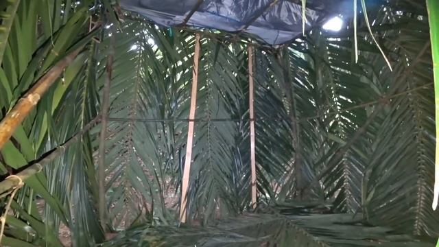 ⚓️Building a BAMBOO HOUSE on a UNINHABITED ISLAND ⚓️ Found a NATIVE смотреть онлайн