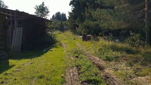 Ордынская пустынь смотреть онлайн