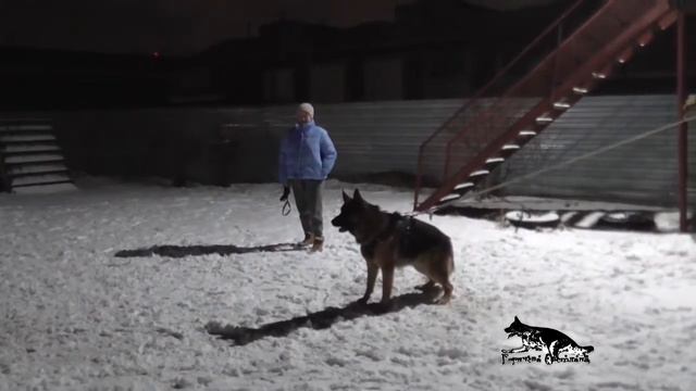 Гаррик и Евгений Суслов~1 смотреть онлайн