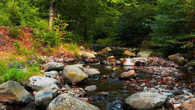 Река - Природа - Пейзажи. смотреть онлайн