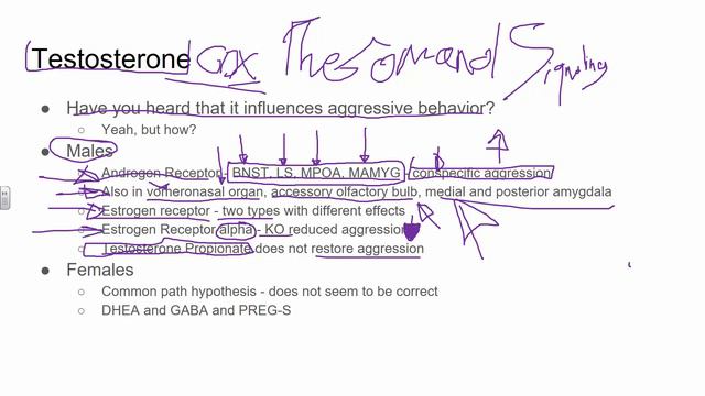 PSY 391 Androgens 3-1-18 смотреть онлайн