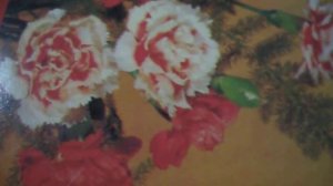 Песенка сапожника(Только не надо перебивать, только не надо переживать(наброски)