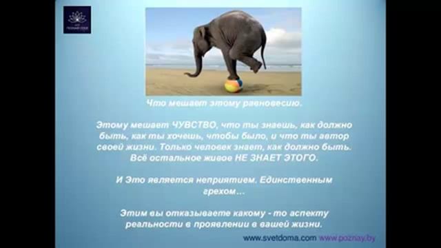 Фрагмент Бесплатного вебинара "Активация ДНК.Духовное сопротивление" смотреть онлайн