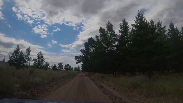 Костанай. Автопрогулки по городу. Часть 2. Едем в лесопосадки за хвойными опадом. смотреть онлайн
