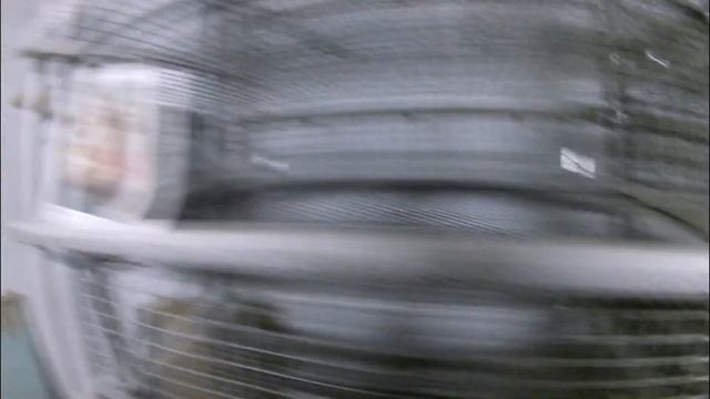 Клеточная батарея для перепелов смотреть онлайн