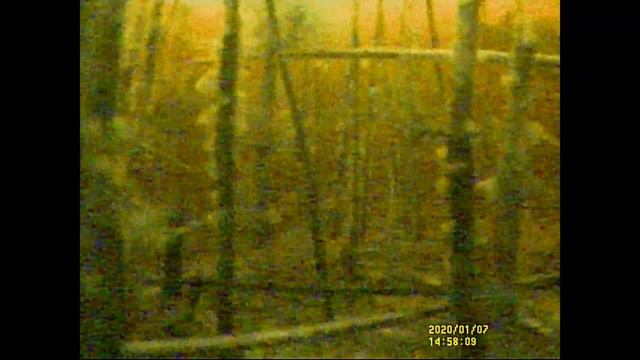 ICEFISHING. PERCH. Зимняя  рыбалка на Ладоге в поселке Черное 7 января 2020 года.