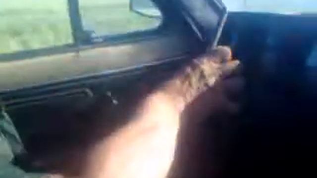 я из лесу вышел смотреть онлайн