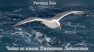 Чайка по имени Джонатан Ливингстон - часть 1. Аудиопостановка.