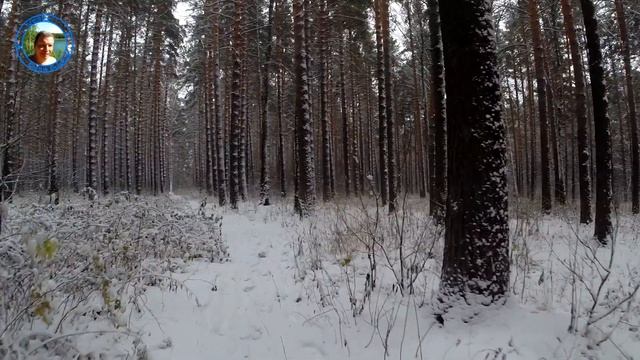 В Екатеринбурге выпал снег, опять зима и холод смотреть онлайн