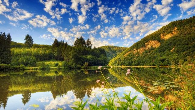 Муж сказал, что его МАМА будет жить с НАМИ / Истории из жизни.