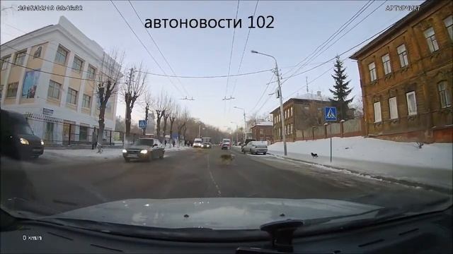 Умная собачка и не умные люди) автоновости 102 смотреть онлайн