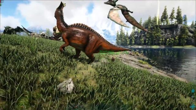 ARKS TURRET DINOS!!! HOW TO USE THEM FOR DEFENSE!!! смотреть онлайн