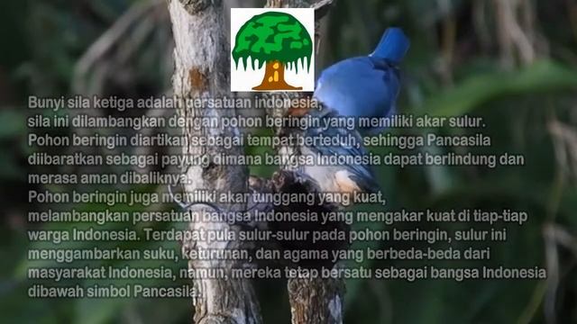 SDK MARIA FERRARI MAUMERE - BELAJAR DARI RUMAH- KELAS 6 TEMA 1 SUB TEMA 3 PEMB 2 DAN 3 смотреть онлайн