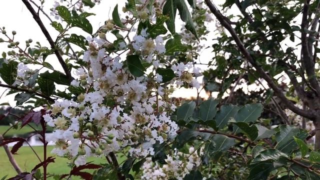 Бизнес-Советы и Инструкции