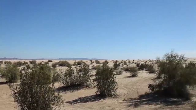 мистер бист 3 часть 24 часа в пустыне смотреть онлайн