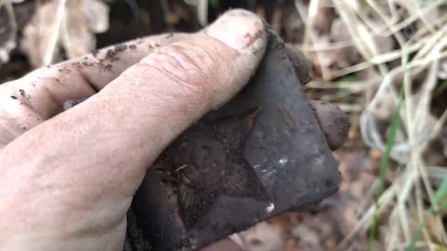 Лесные находки смотреть онлайн