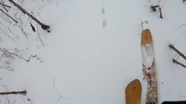 ОХОТА НА ЗАЙЦА-РУСАКА СО СПАНИЭЛЕМ! смотреть онлайн