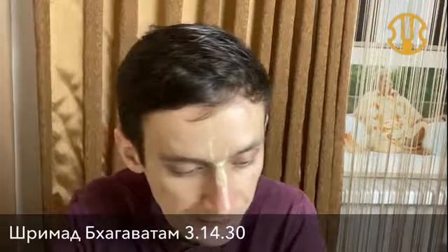 Центр развития харинамы смотреть онлайн
