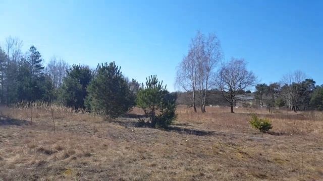 ГСВГ.Аэродром Altes Lager,площадка перед ангарами 9.03.2022 смотреть онлайн