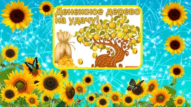 С Днем рождения мужчине. Яркое поздравление с подсолнухами смотреть онлайн