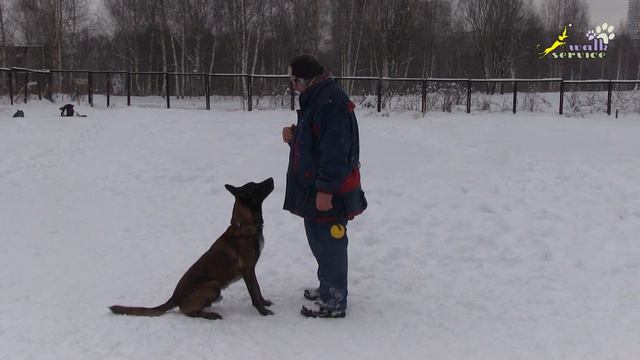 Команда рядом, мяч в ухо, тренировка внимания, мотивирующий объект мяч, ОКД смотреть онлайн