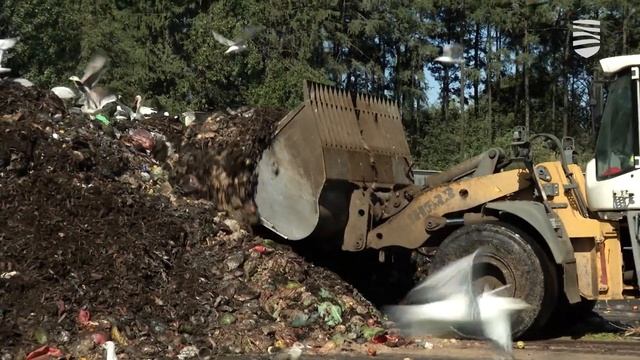 Почему необходимо сортировать биоразлагаемые отходы смотреть онлайн