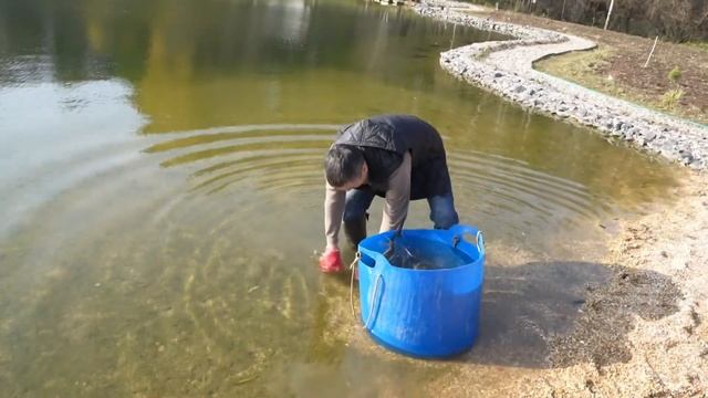 Запускаю белугу в пруд. Насос на голосовом управлении. смотреть онлайн