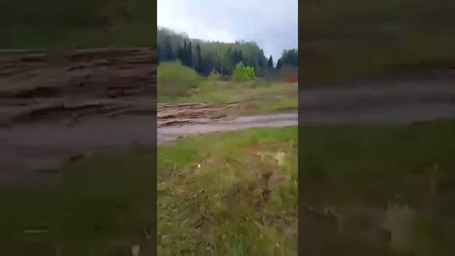 Как вспомню... просто не хочется. Сашок смотреть онлайн