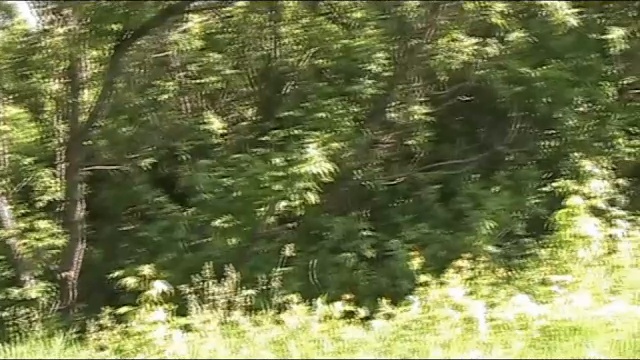 БЕЛАЯ БЕРЁЗА смотреть онлайн