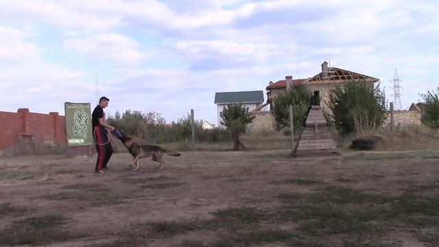 Защитный тренинг со Степаном Еременко г. Мариуполь смотреть онлайн