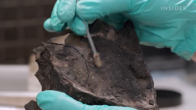 How 4 Million Fossils Are Extracted From Tar At La Brea Tar Pits | Colossal Collections смотреть онлайн