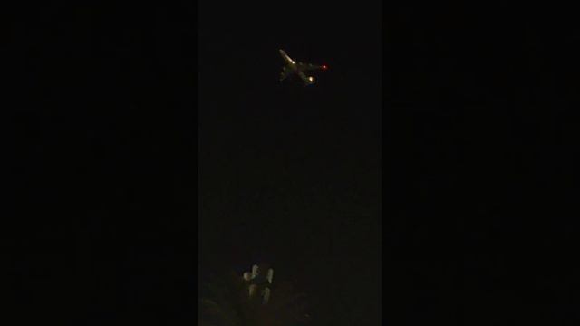 Boeing's Cargo Plane B-787 Is Going to Land at DWC Airport, JAFZA, Dubai. смотреть онлайн