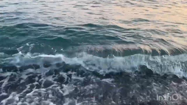 Лена и Ваня Life. Трудный выбор: Китай или Сочи… куда же? смотреть онлайн