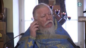 Протоиерей Димитрий Смирнов. Проповедь о служении Господу без ропота и с радостью