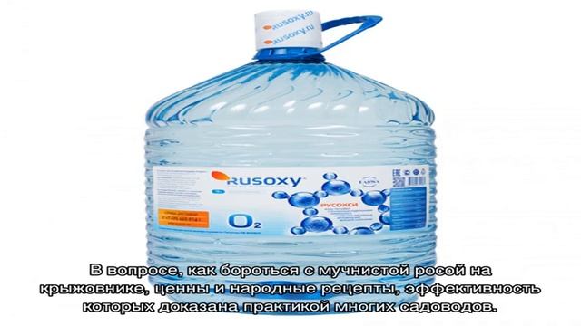 Меры борьбы с мучнистой росой на крыжовнике и профилактика её распространения смотреть онлайн