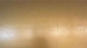 Anest Iwata WS-400/LS-400 pinipharina SERIES 2