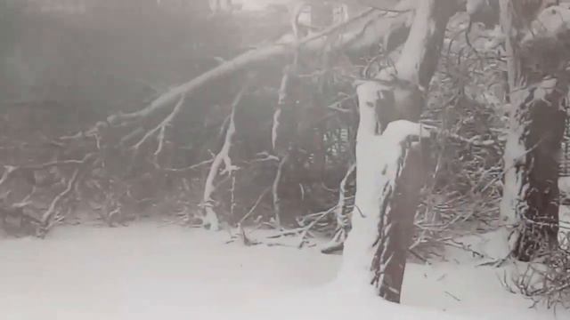 г Цимлянск. Метель. 06. 02. 2020 г. смотреть онлайн