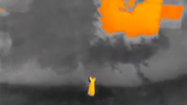 FLIR TK SCOUT смотреть онлайн