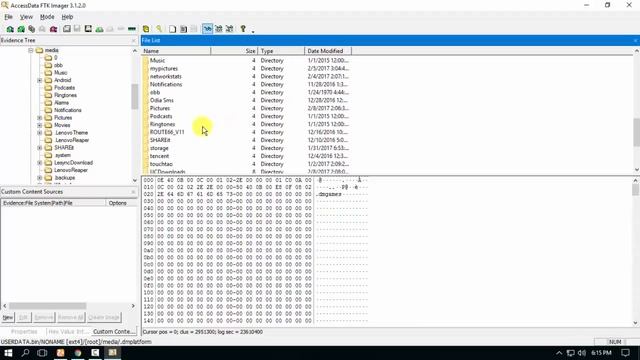 Extract DATA from a dump using FTK Imager смотреть онлайн