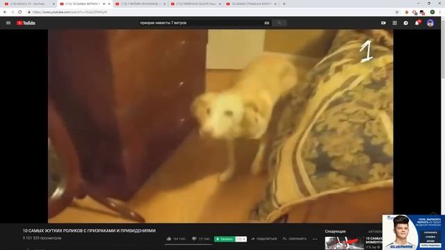 DAWG смотрит страшные видео! #1 СМОТРЕТЬ ВСЕМ! Я был в шоке. смотреть онлайн