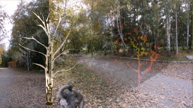 Пропала собака по кличке Дружок смотреть онлайн