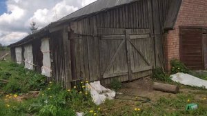 Бизнес на индюках в деревне