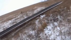 Только лучшие выстрелы и красивые моменты охот на зайца (сезон  2021-2022г).mp4