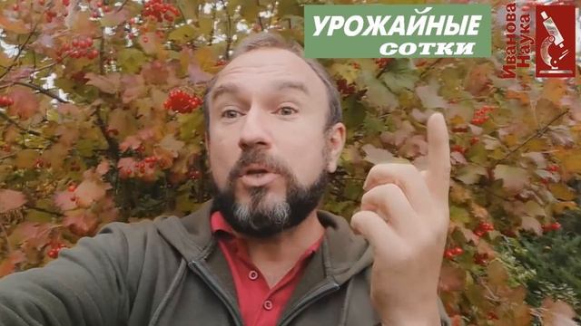 МУЧНИСТАЯ РОСА - каждому своя. Комбинируем растения и компостируем с умом. смотреть онлайн