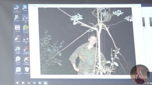 Снежный человек - от поисков недостающего звена к сМежному человеку