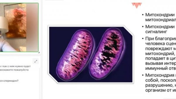 НОВЫЙ ФЛАГМАНСКИЙ ПРОДУКТ EFFECTOR   ПРОДУКТ НА ОСНОВЕ RNA VERUM